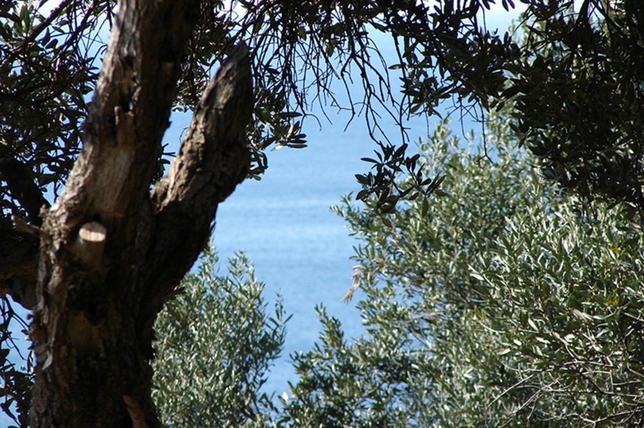 Luxury Bonbon Next To Banje Beach And Old Town, Great Location Dubrovnik Eksteriør bilde